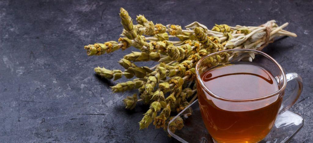 Caj Mali Bergtee aus Albanien Tee Teetasse Header