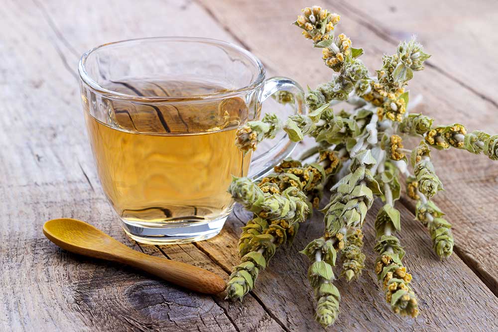 Caj Mali Albanischer Bergtee Sideritis scardica Stängel mit Tasse caj-mali.de