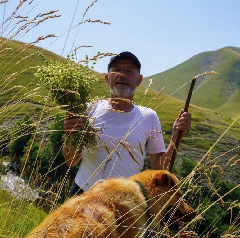 Caj Mali Bergtee Bergbauer Tee Tradition pflücken caj-mali.de